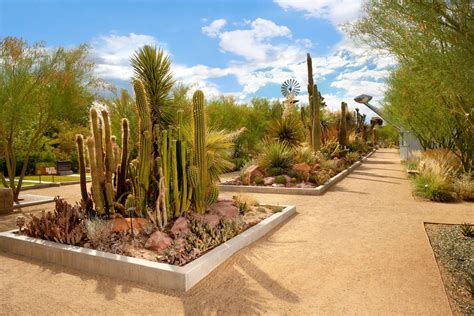 las vegas desert garden